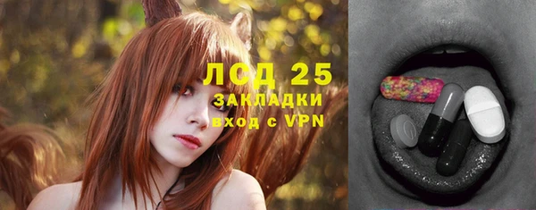 гашик Волосово