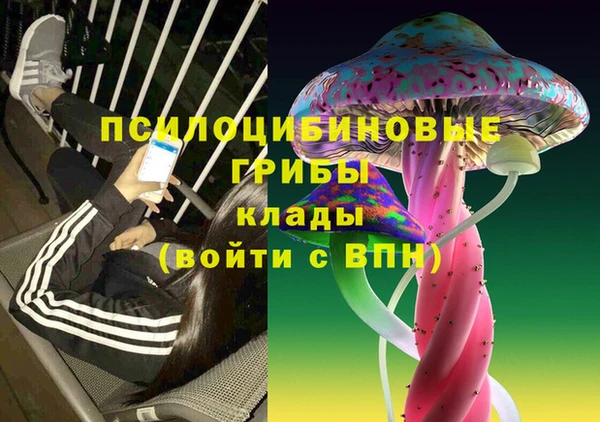 гашик Волосово