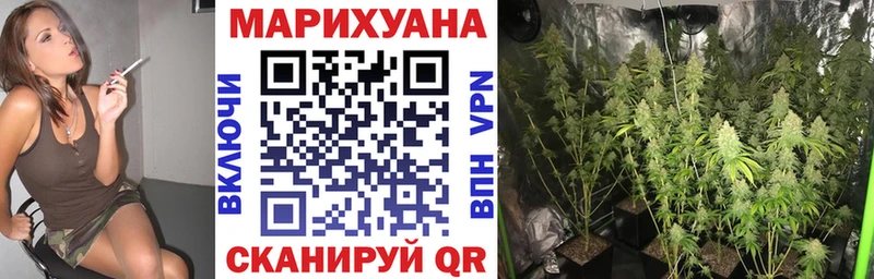 Каннабис OG Kush  Льгов 